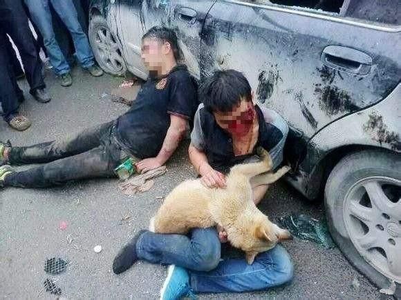 两名农村偷狗贼用渔网偷狗被农民抓现行偷狗贼苦苦求饶