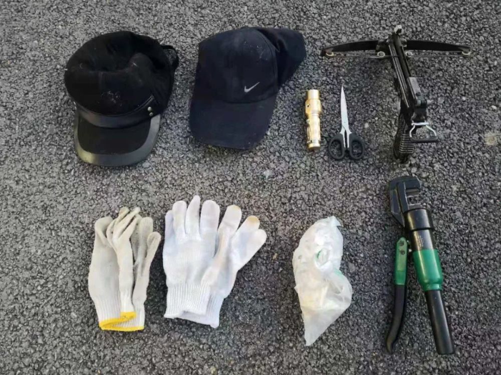 偷鸡摸狗"盗窃团伙,抓获犯罪嫌疑人3名,现场缴获驽枪,毒药等作案工具