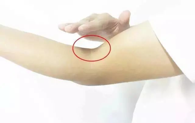 今天,就为大家着重介绍一下"肘窝"!