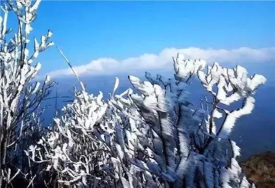 谁说广东人的冬天没有雪!"玉龙雪山"之称的金子山,宛如仙境