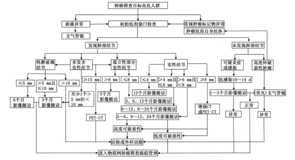 图6 肺癌筛查流程图自:上海中医药大学附属曙光医院胸外科