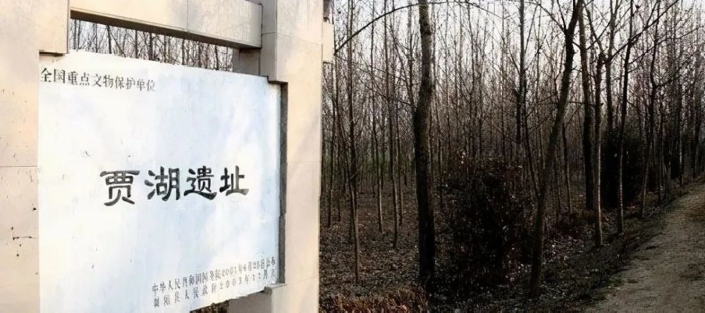 舞阳县贾湖遗址最早的新石器文化遗存距今八千年历史