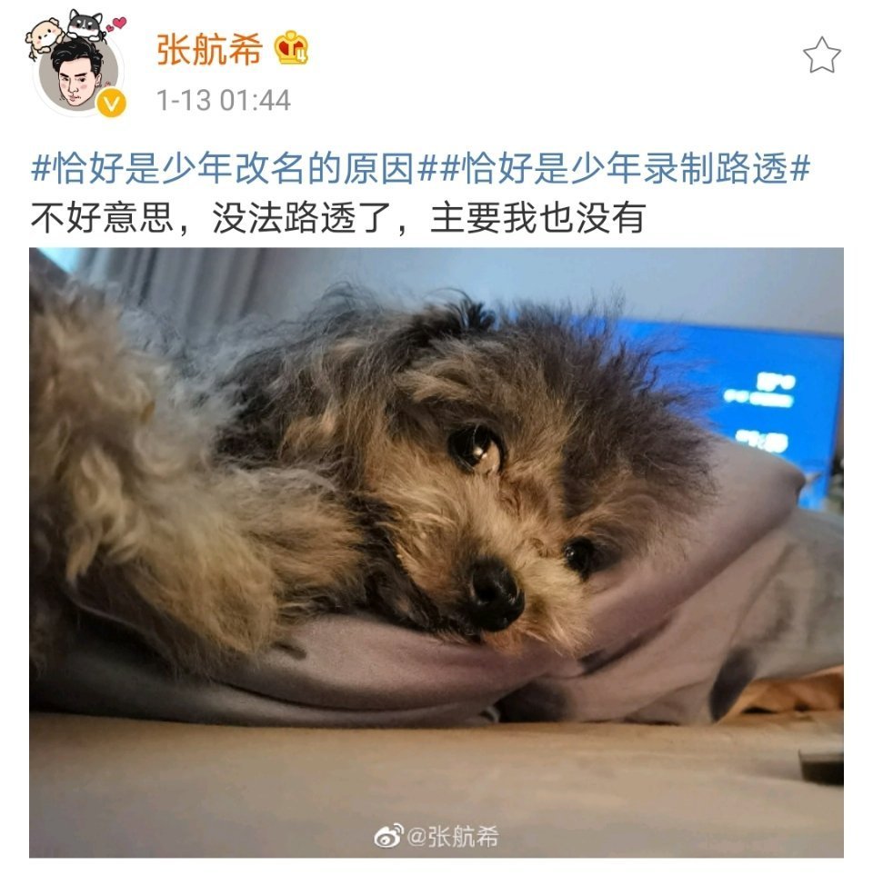 心疼导演组三秒钟哈哈哈哈哈此时再看这张图三位少年真的太皮了哈哈哈