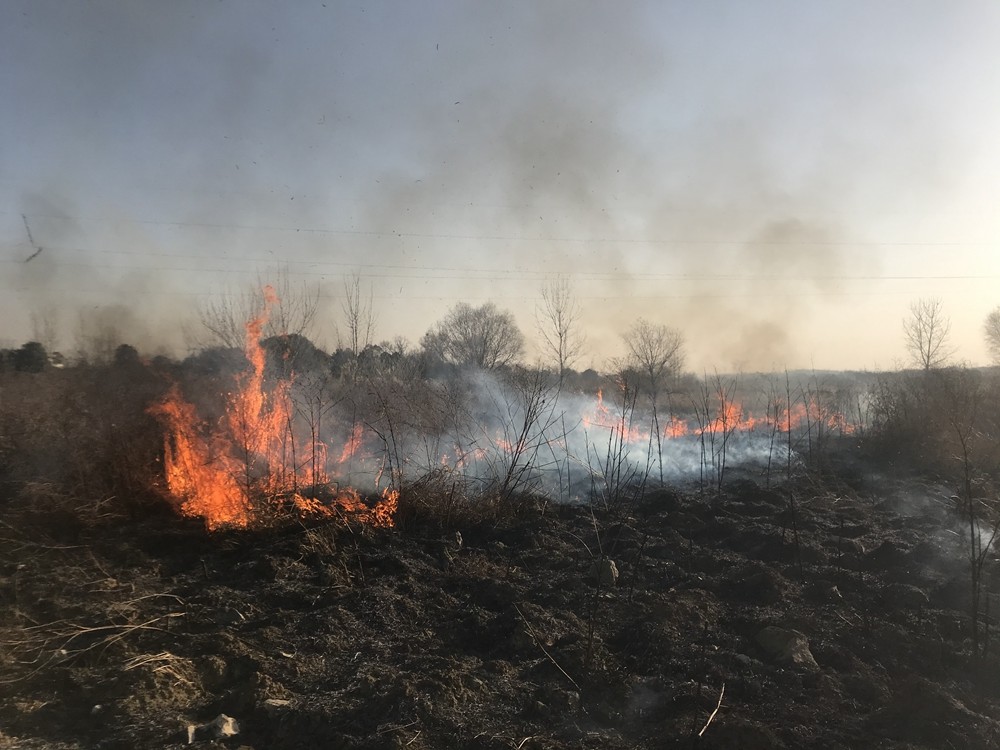 荆门一空地杂草起火,无人员伤亡_腾讯新闻