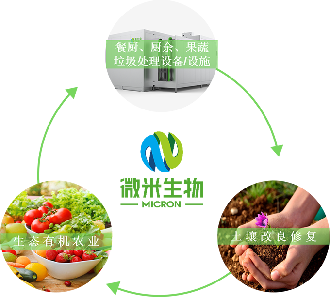 中国餐厨垃圾处理技术现状