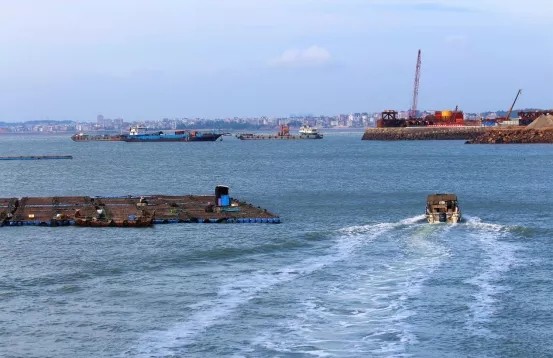 福清市沙埔镇:构建蓝色生态链,谱写振兴"协奏曲"