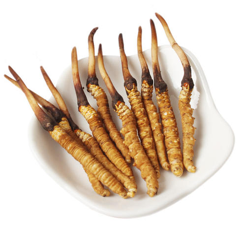 冬虫夏草的活性成分主要包括虫草多糖,核苷类物质,甾醇类物质,糖醇类