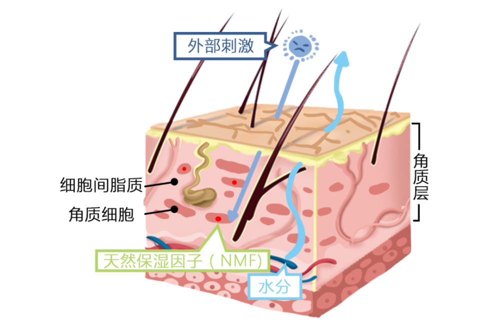 主任強調的皮損護理,你做到位了嗎?