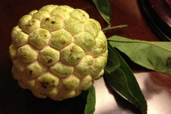 外表酷似荔枝,又与佛祖头上的肉髻很像,