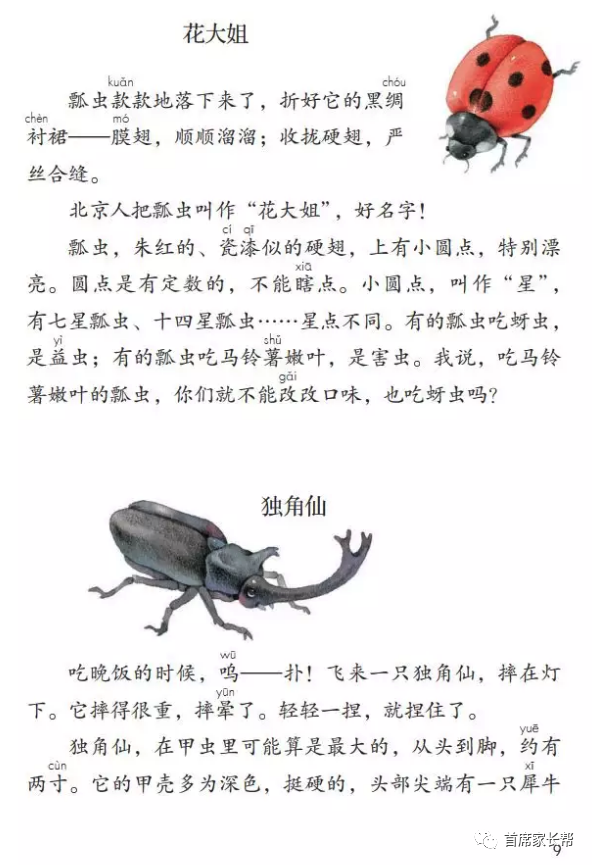 部编版三年级语文(下册)课文4 昆虫备忘录_腾讯新闻