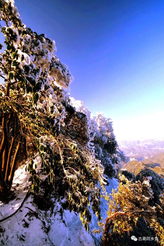 雪霁天晴朗古蔺美景靓