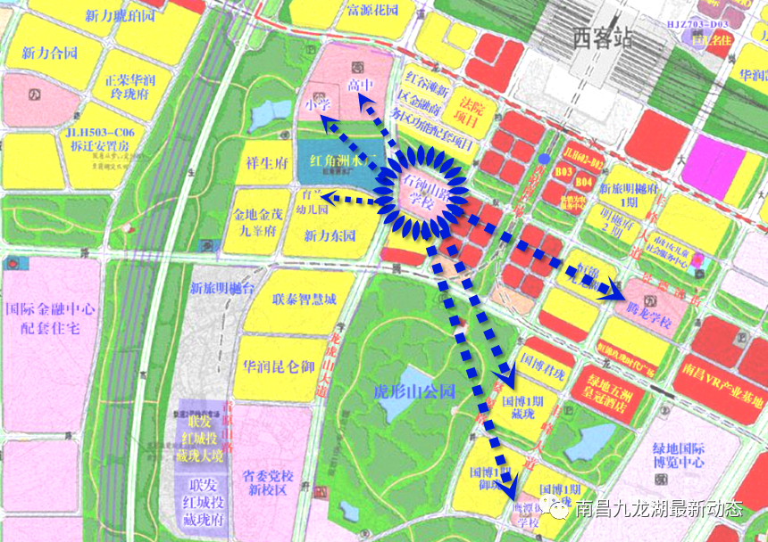 九龙湖这所学校最新的消息_腾讯新闻
