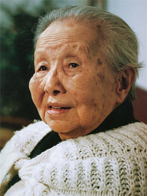 冰心死后墓碑遭亲孙子泼红漆还被骂枉为人表她做错了什么