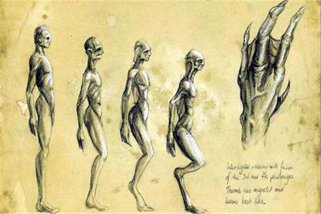 未来人类长什么样科学家给出模拟图看起来似乎有点丑
