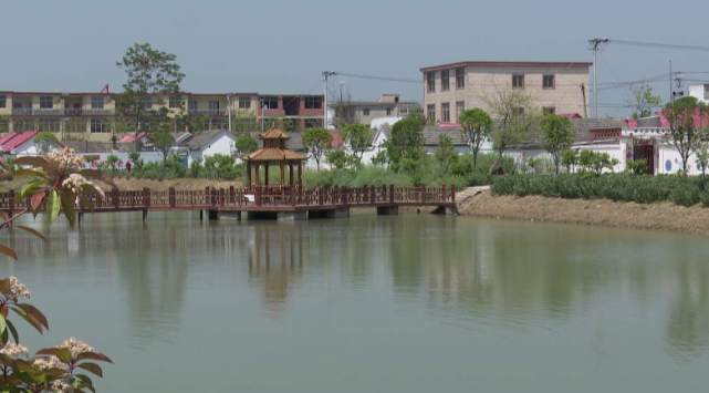 江口镇——打造美丽乡村 提升群众幸福感|颍上县|中心村|江口镇