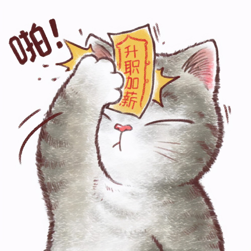 可爱的猫咪为你祈福新的一年八张祈福符咒前任暴毙是什么鬼