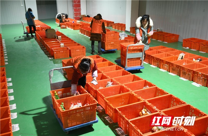 组图丨宁远网格仓电商分拣忙