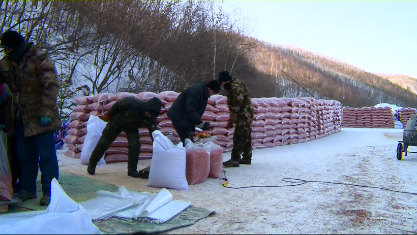 【产业森工】八面通:冬果沙棘串起致富