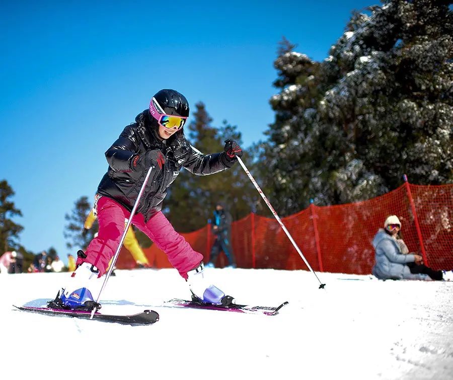 好好地在雪地上撒一次野不如趁机来明月山滑雪场未来一连几天都是阳光
