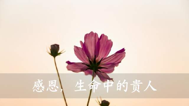 欲成大器要有贵人这4种人容易有贵人相助