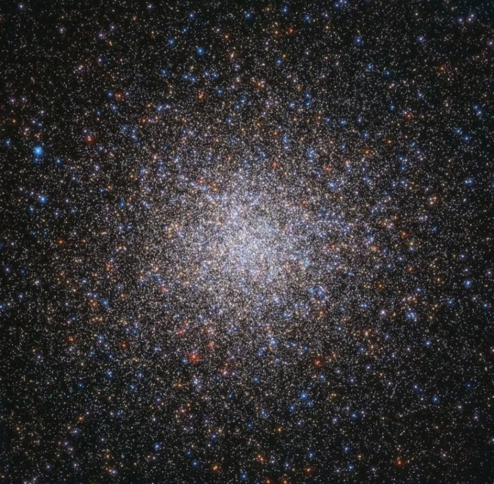 和唯一知道星星为什么会发光的人一起散步