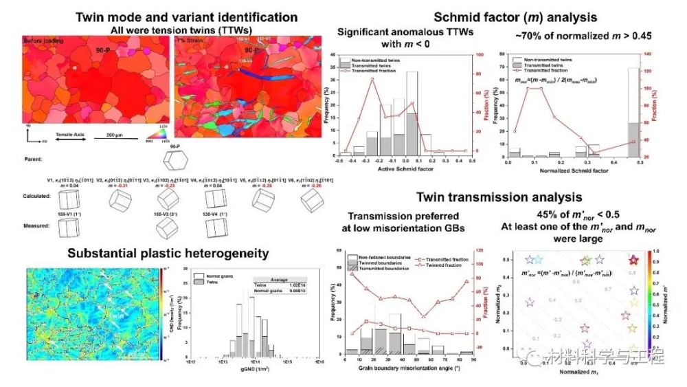 图表摘要:孪晶模式和变体鉴别,以及施密特因子分析,孪晶转移分析和