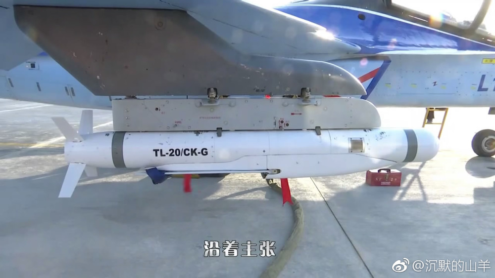 图片:tl-20应该说,现在这种小型精确制导空地武器的发展是方兴未艾,高