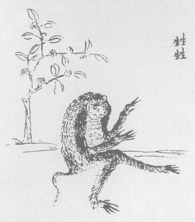 难逃厄运的志怪奇书,你不了解的山海经,是细思极恐的世界百科