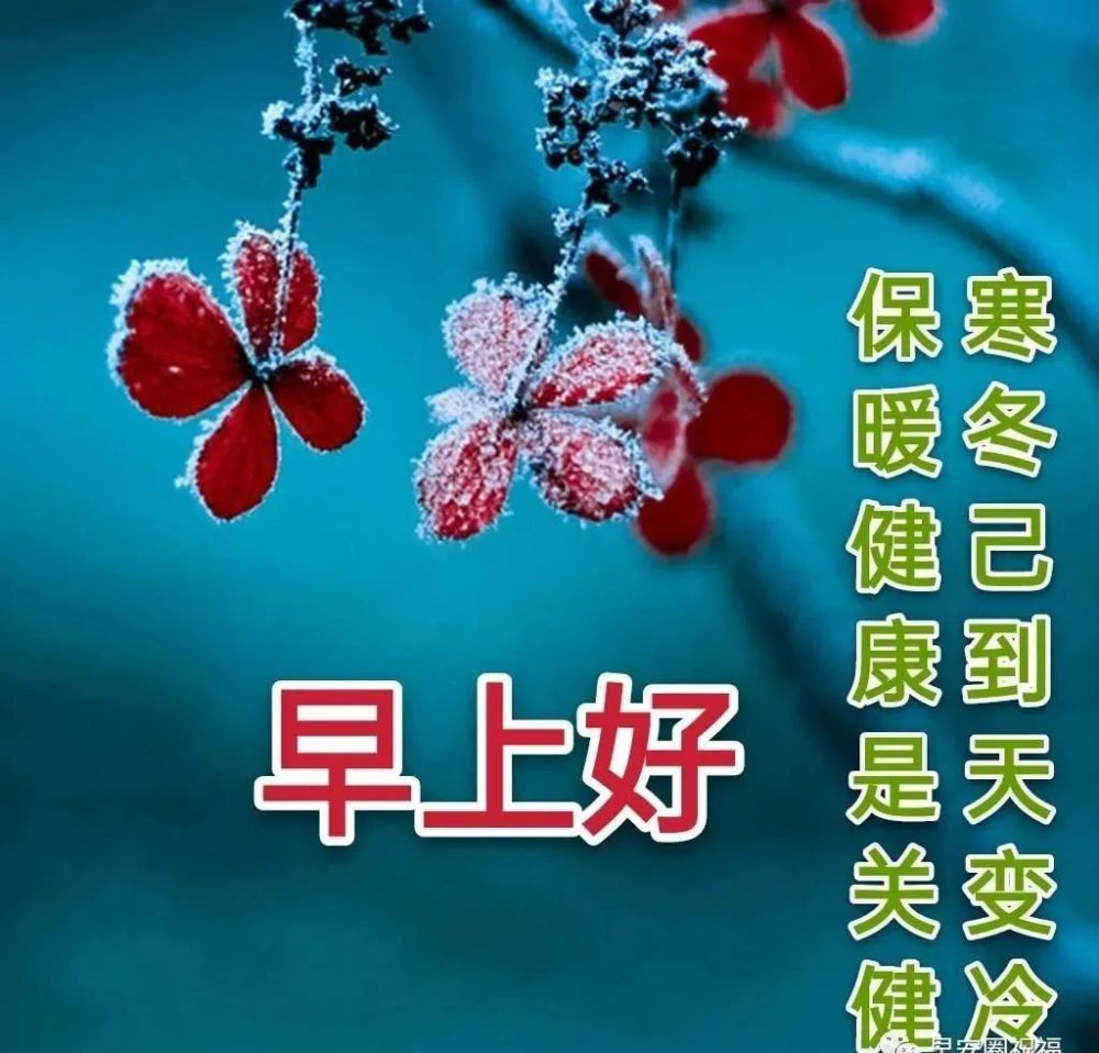 1月14日早上好最棒問候表情祝福語錄清晨最美祝福美圖