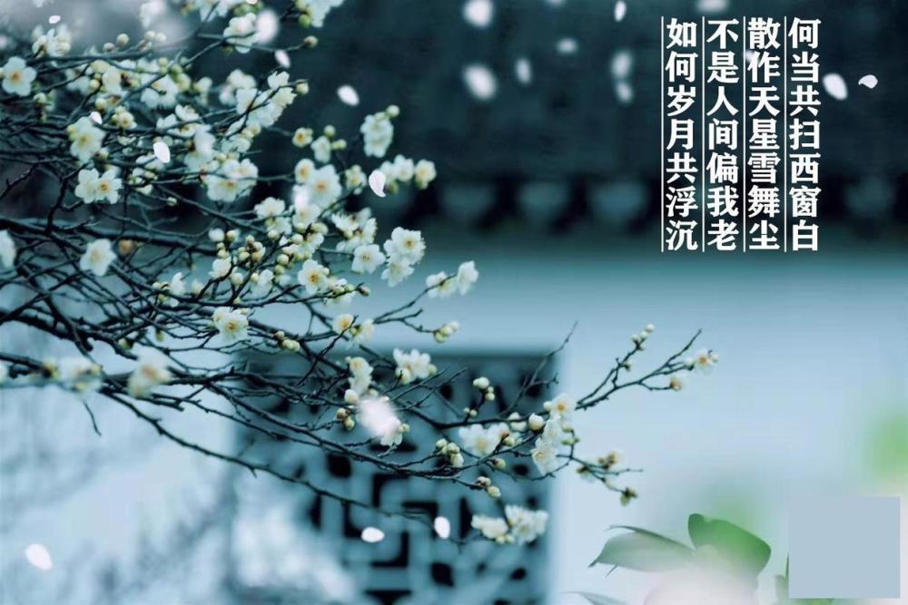 从现实的眼光来理解人类精神层面上的文艺创作,除了刺激感官的黄色