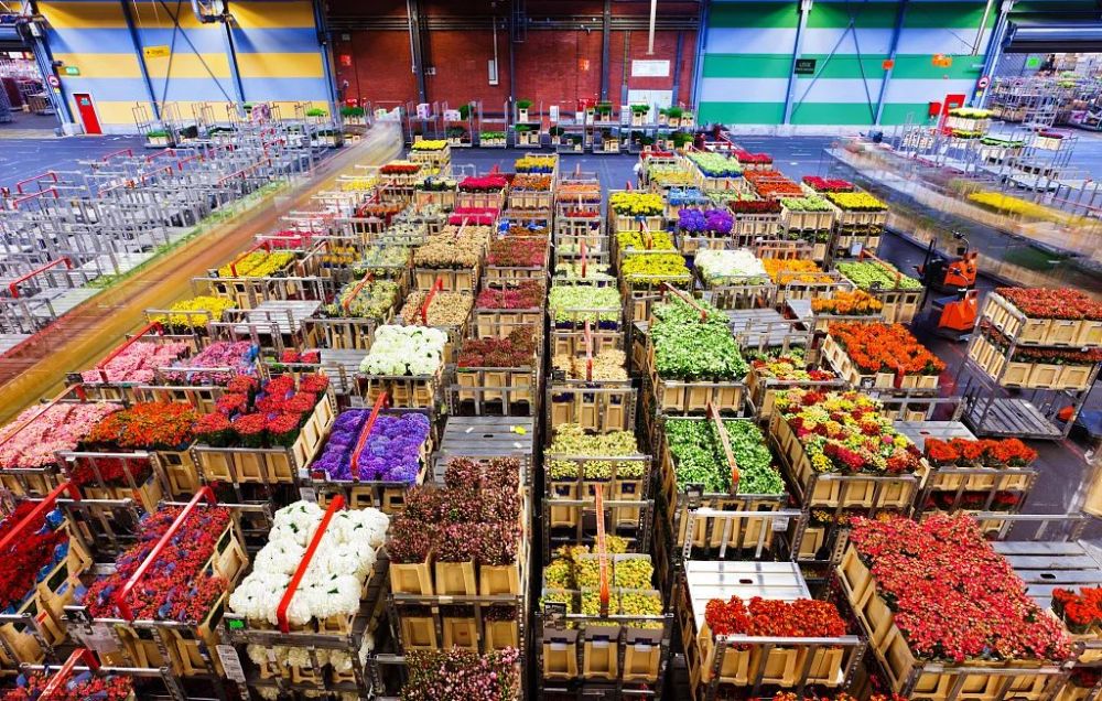 颜值与智慧并存原来农批市场可以这么潮