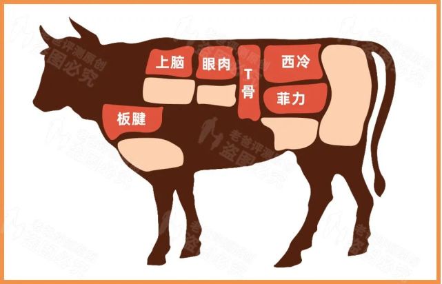 快速认识所有牛排种类哪种嫩哪种有嚼劲一看便知谷饲草饲这么选不踩坑