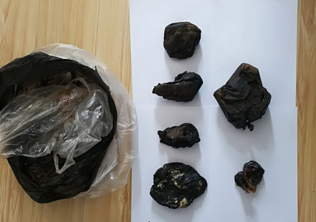 缴获毒品鸦片15公斤兰州警方破获特大贩毒案