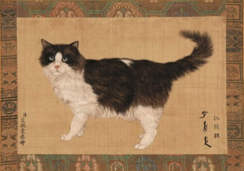 你知道乾隆皇帝养过的猫叫什么吗?