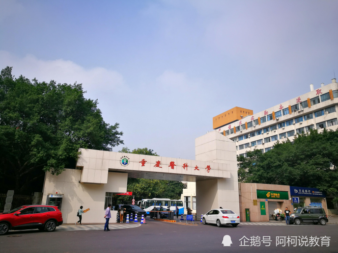 西南大学2020排名_2020年教育学四星级以上高校排名:29所高校上榜!西南大