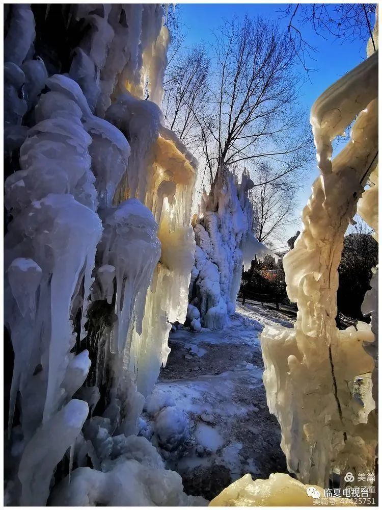 临夏风光集萃三十九康乐白桦林之冰雕