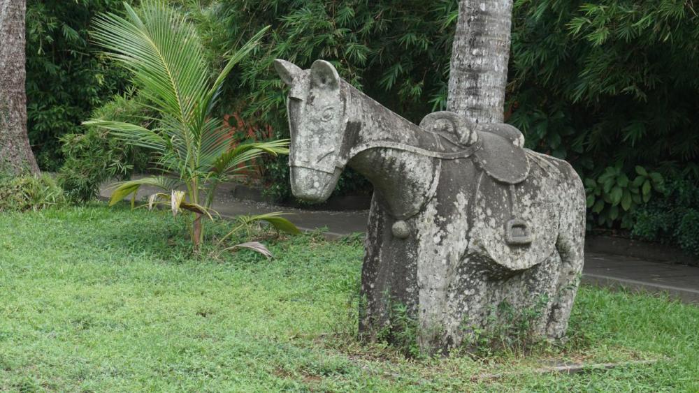 文革中海瑞的尸骨被挖出,先是游街示众,最后在海口市中心广场被焚烧
