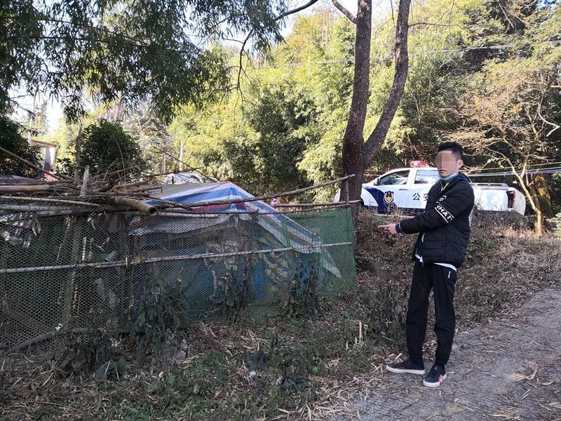 阳山公安抓获3名偷鸡贼_腾讯新闻