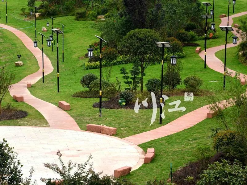 泸州这四个公园入围了!