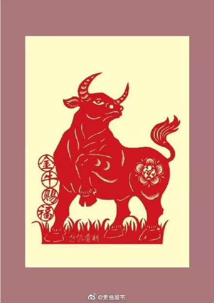 这牛剪纸剪得太带劲了