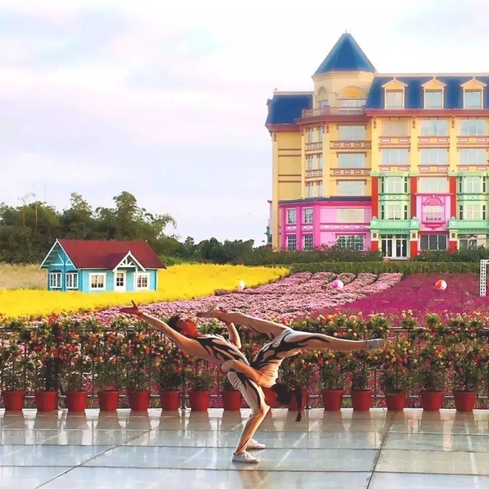 99元抢百万葵园2大2小门票!周末不加收!提前一天预约!_腾讯新闻