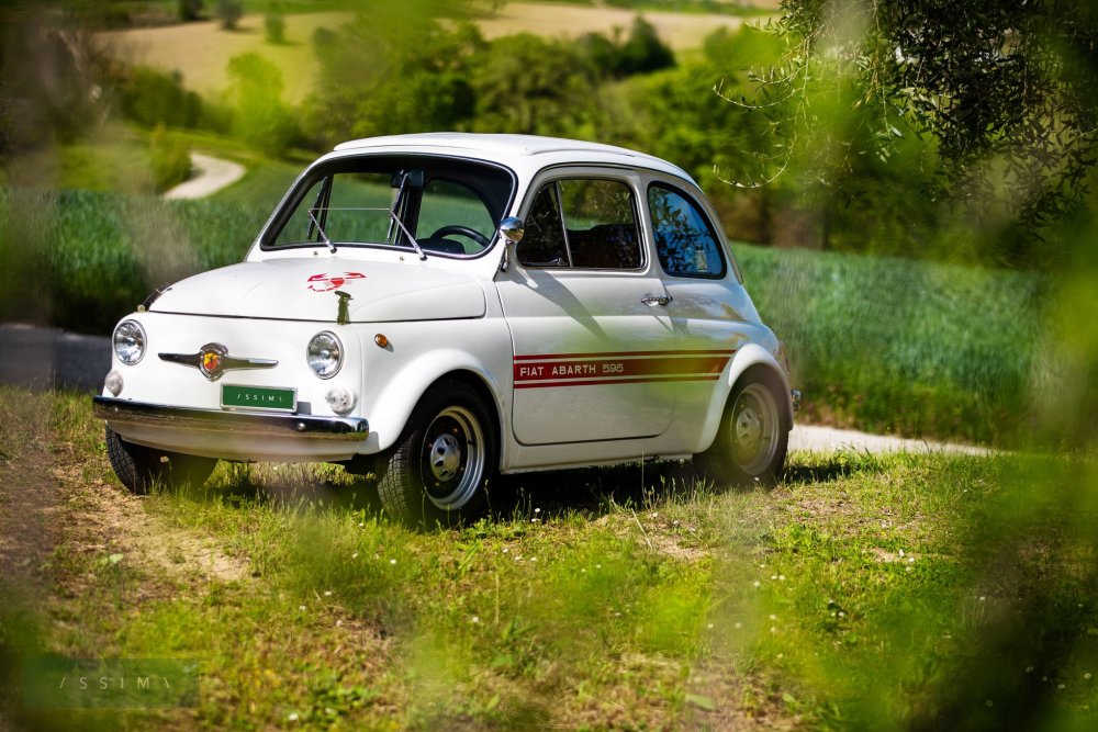 1969年菲亚特 阿巴斯 595