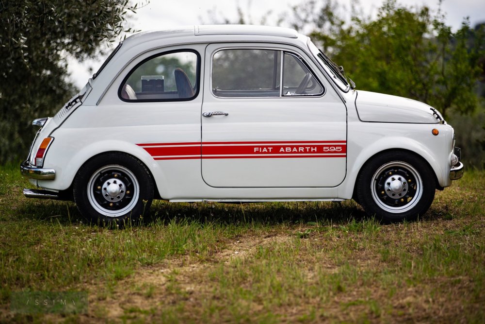 1969年菲亚特 阿巴斯 595