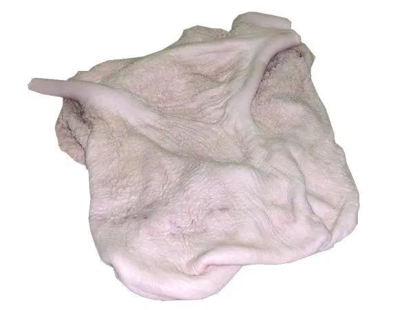 养牛先养胃!要想养好牛就得先了解牛胃丨养牛学堂