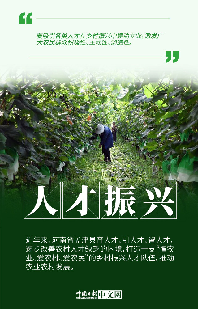 图说乡村振兴:为农村生活描绘新画卷