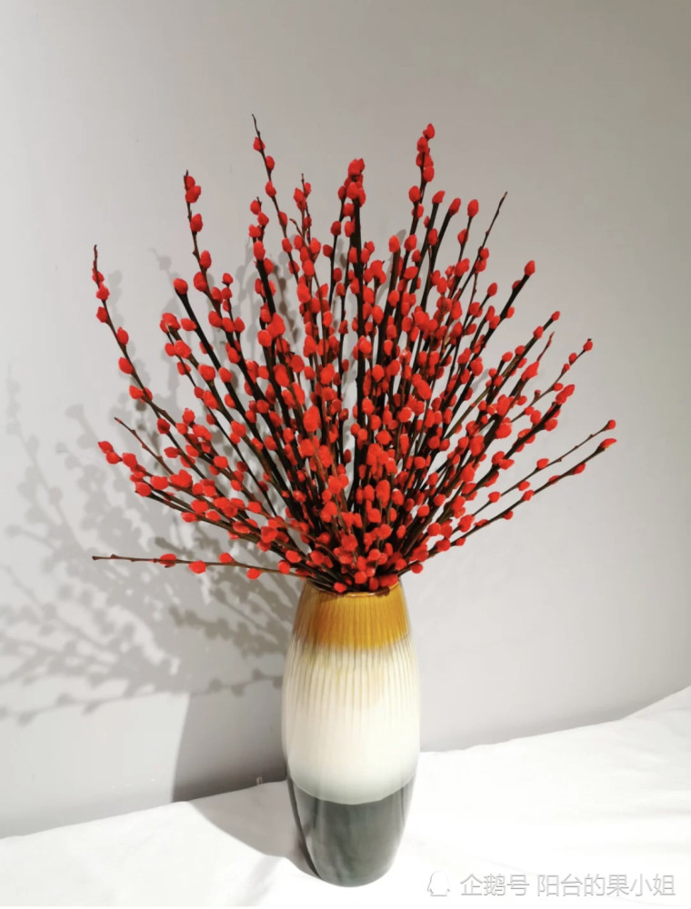 年宵花性价比之王:银柳