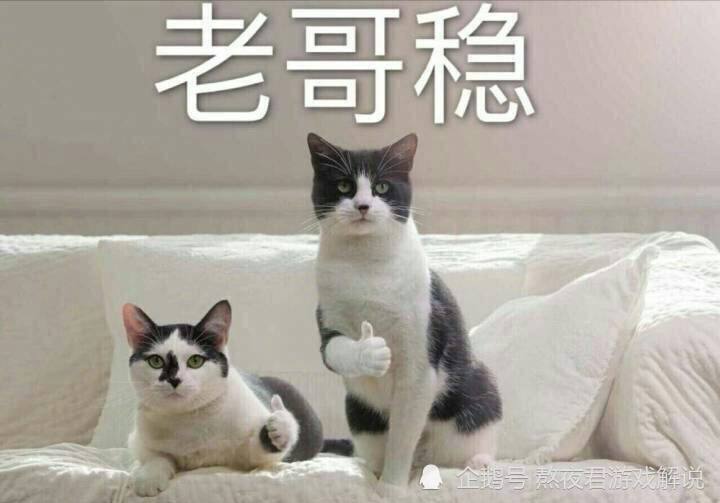 段位排行_LOL国服段位排行,退役选手登上第一名,可以和uzi一起复出