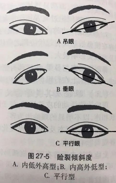 为什么丹凤眼这么好看