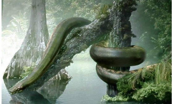 湖南永州人蛇大战,演绎农夫与蛇的故事,至今保留村名以示纪念