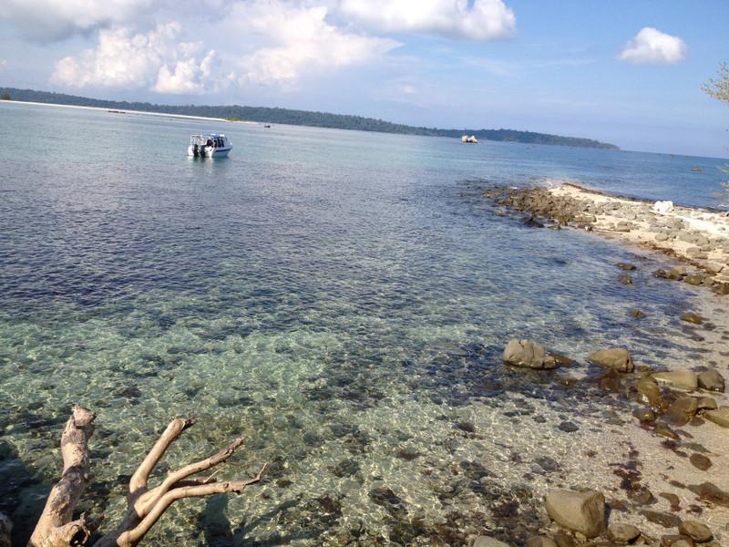 世界上最著名的七座"蛇岛"!